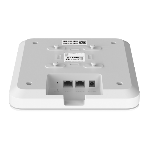 RG-RAP2200(F)